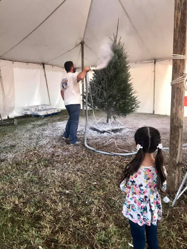 Flocking Severts Tree Farm